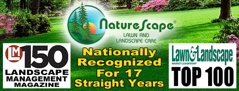 Eau Claire WI Naturescape Lawn And Landscape Care